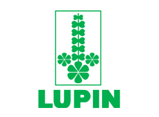 lupin